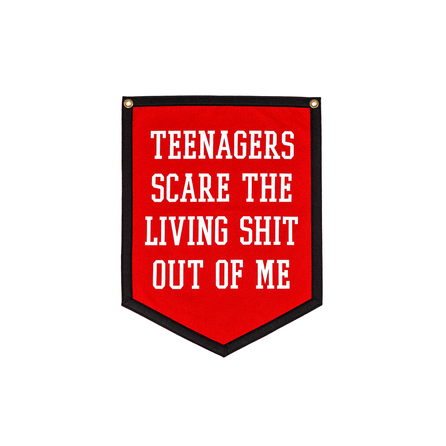 Teenagers Scare Me | Camp Flag