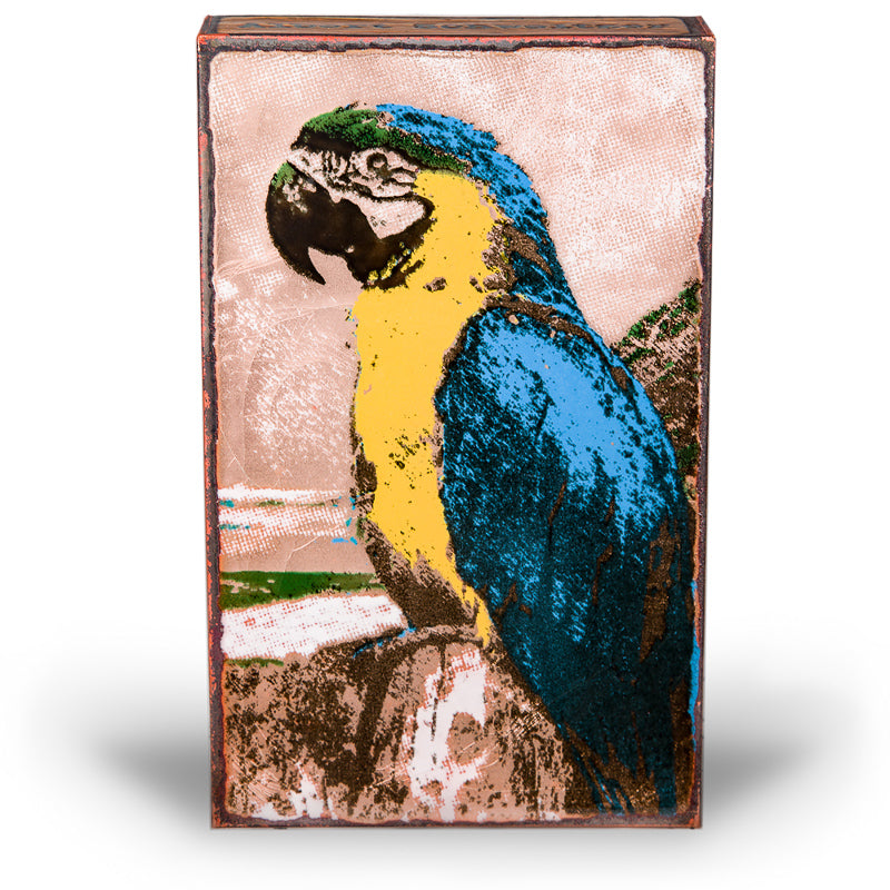 Parrot 218 (Retired) | Houston Llew Spiritile