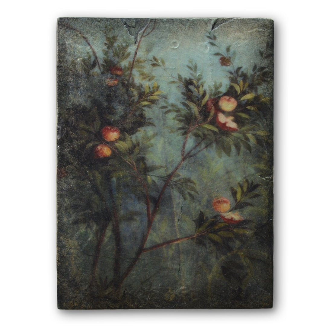 Nature’s Glory T535 | Sid Dickens Memory Block