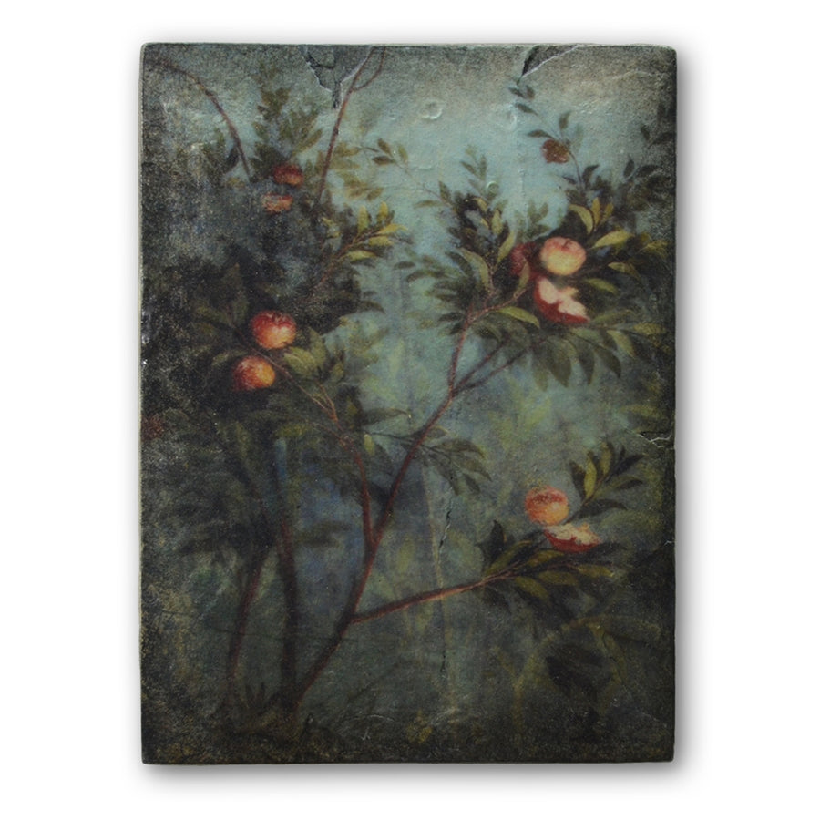 Nature’s Glory T535 | Sid Dickens Memory Block