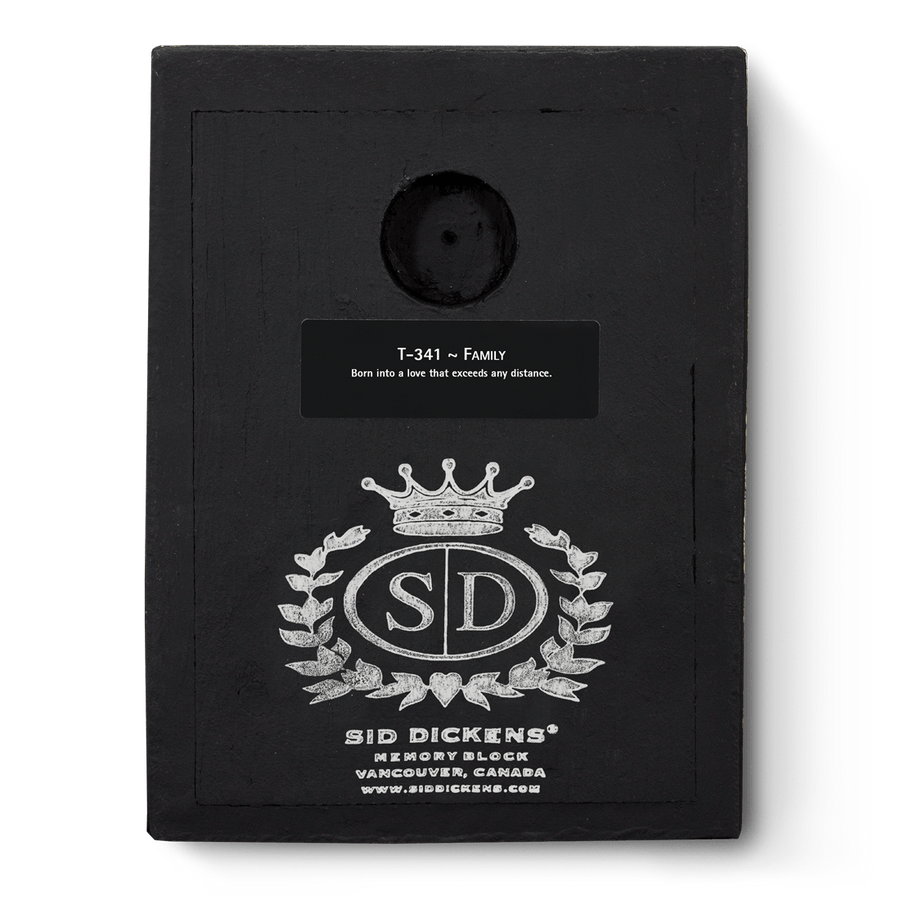 Family T341 | Sid Dickens Memory Block