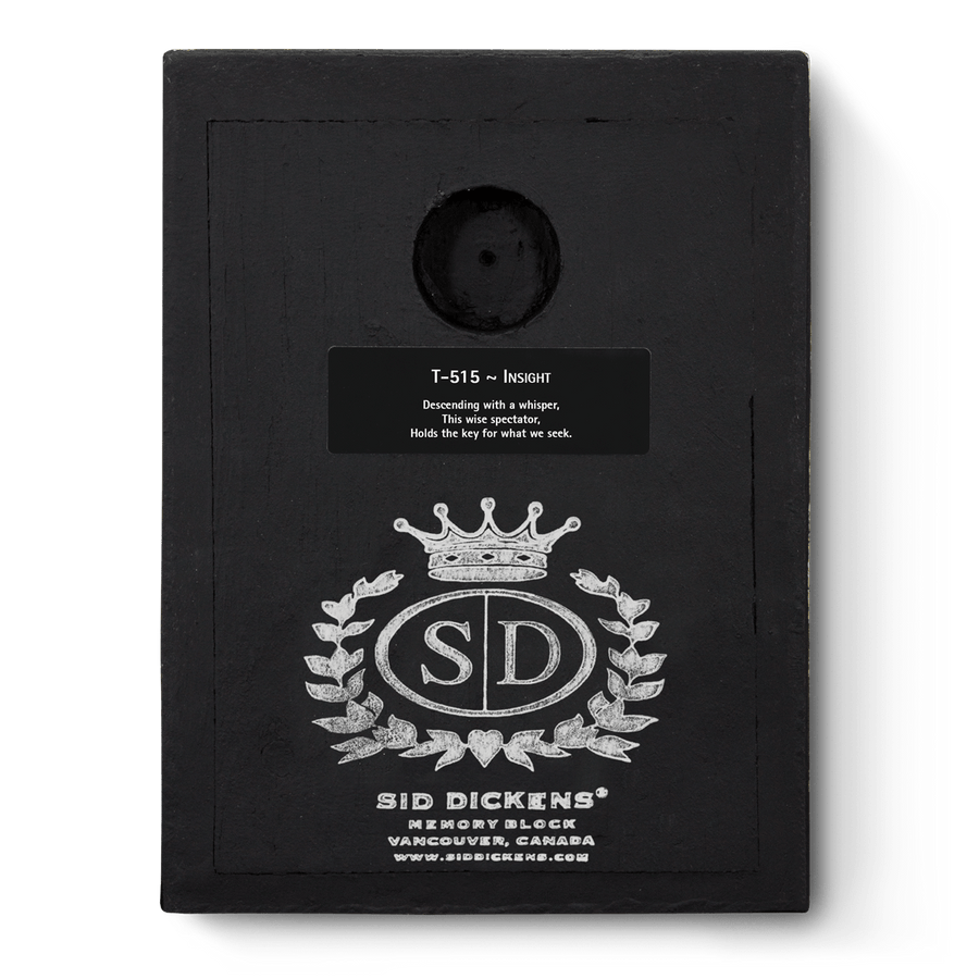 Insight T515 | Sid Dickens Memory Block