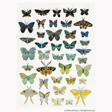 Dusk Butterflies | Archival Print