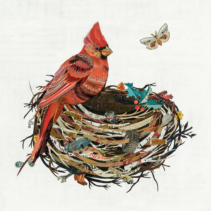 Cardinal in Nest | Archival Print
