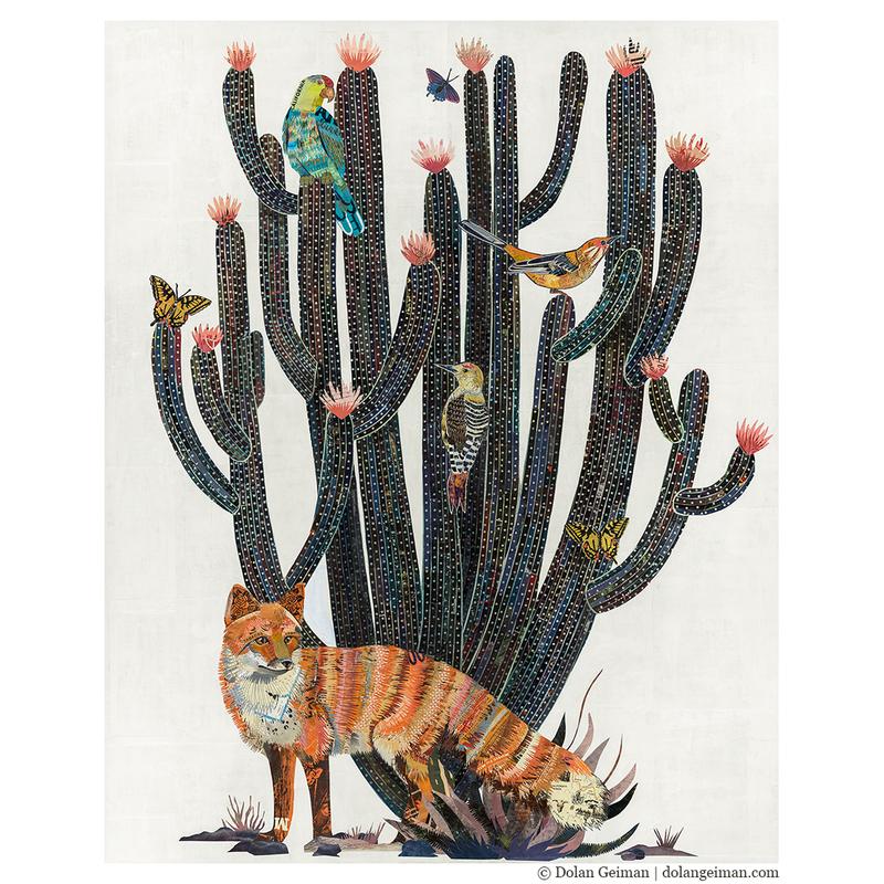 Baja Backcountry Fox | Archival Print
