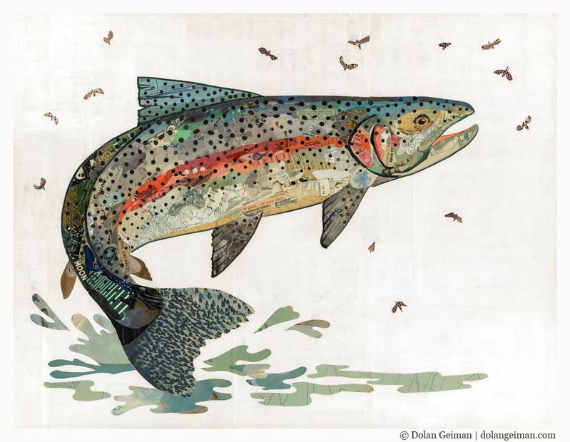 Rainbow Trout II  | Archival Print