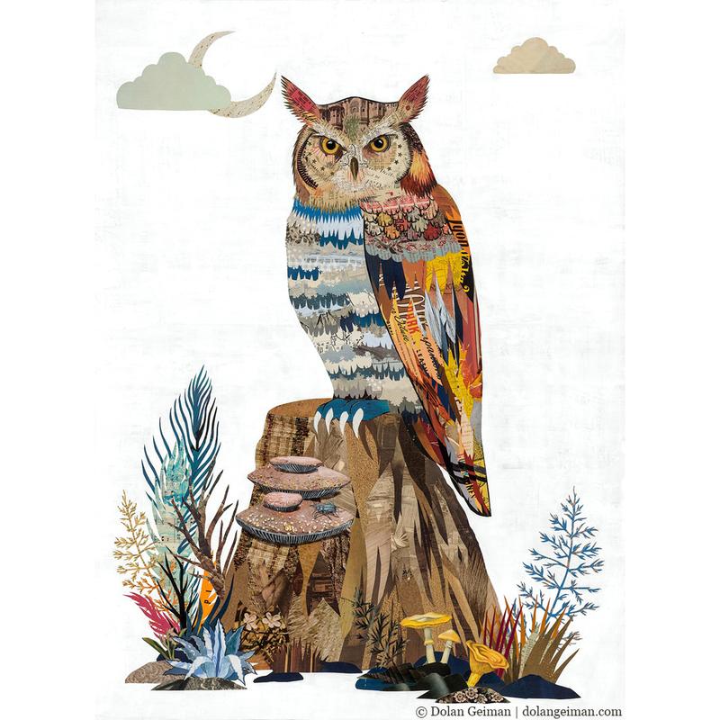 The Visionary Owl | Archival Print