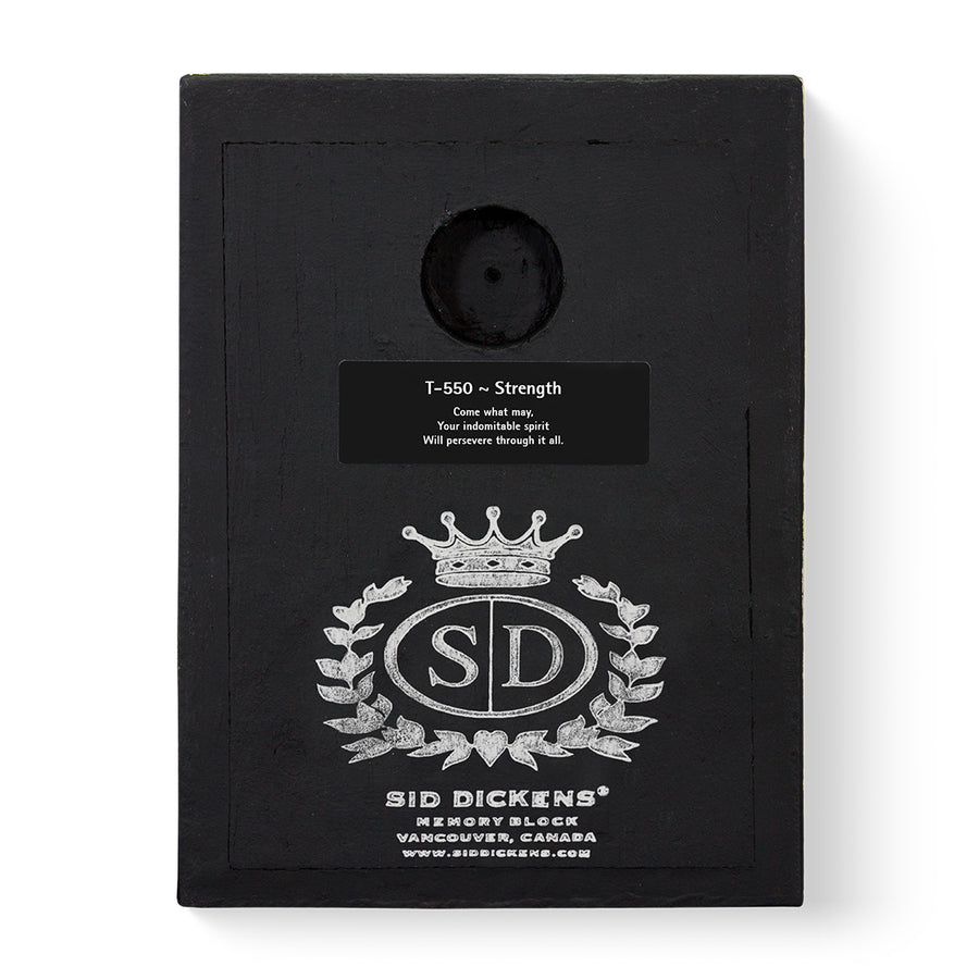 Strength T550 | Sid Dickens Memory Block