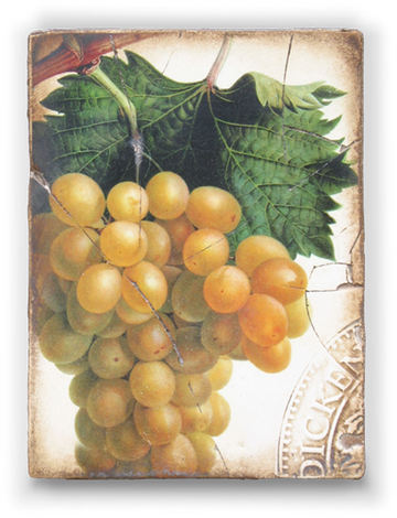 Grapes T110 (Retired) | Sid Dickens Memory Block