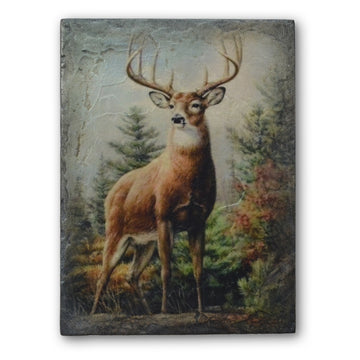 Noble Stag T541 *On Backorder* | Sid Dickens Memory Block
