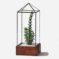 Tower Terrarium | Local Pickup Only