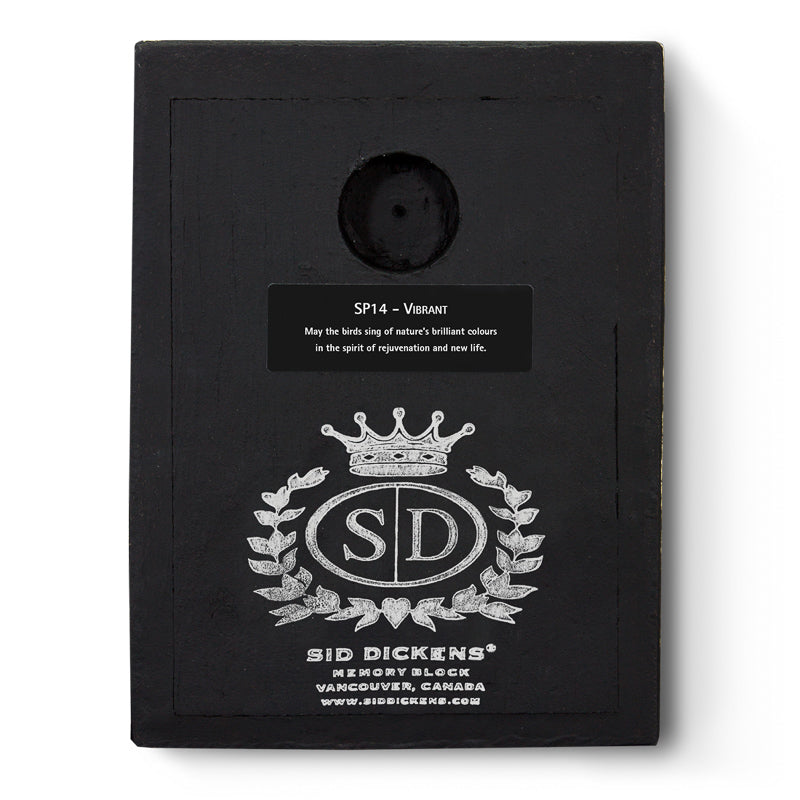 Vibrant SP14 (Retired) | Sid Dickens Memory Block