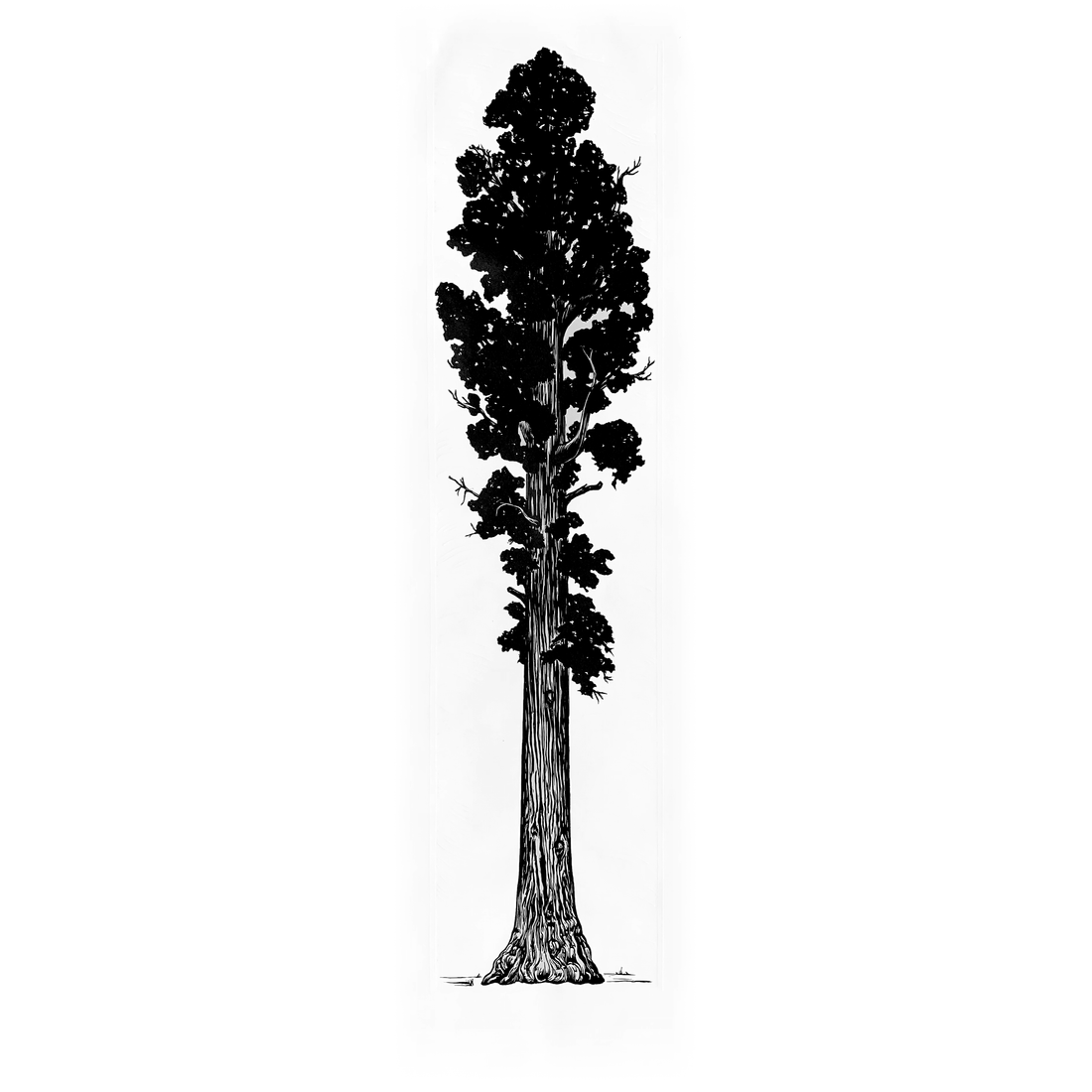 Sequoia | 15.75" x 56" | Wood Block Print