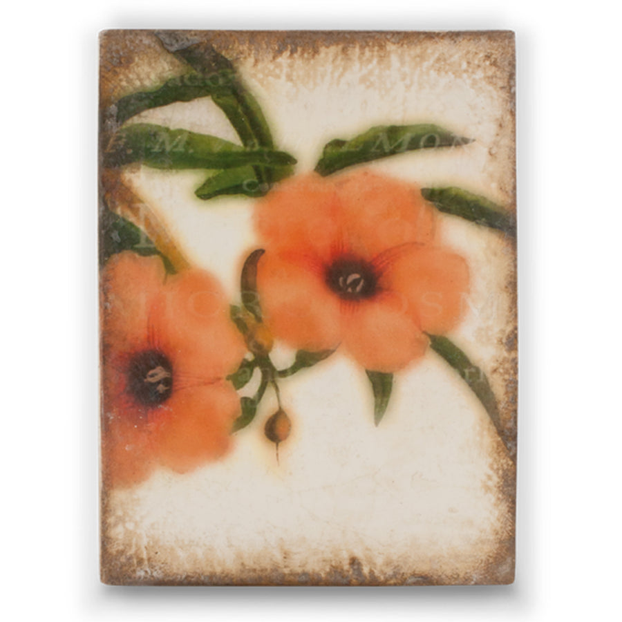Hibiscus T345 (Retired) | Sid Dickens Memory Block