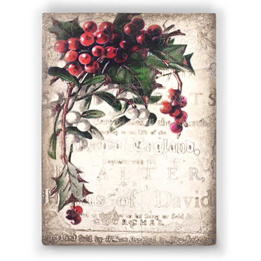 Holly T431 (Retired)  | Sid Dickens Memory Block