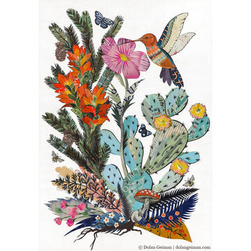 Hummingbird and Cactus | Archival Print