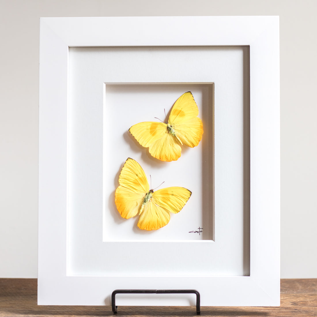 Yellow Butterflies in Flight | 10x12"