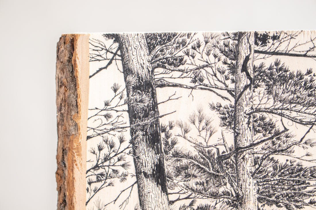 Two White Pines | Drawing on Wood