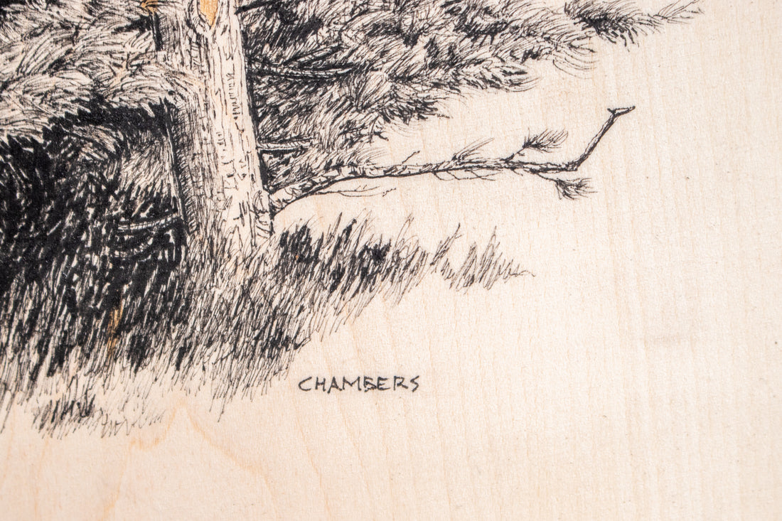 Two White Pines | Drawing on Wood