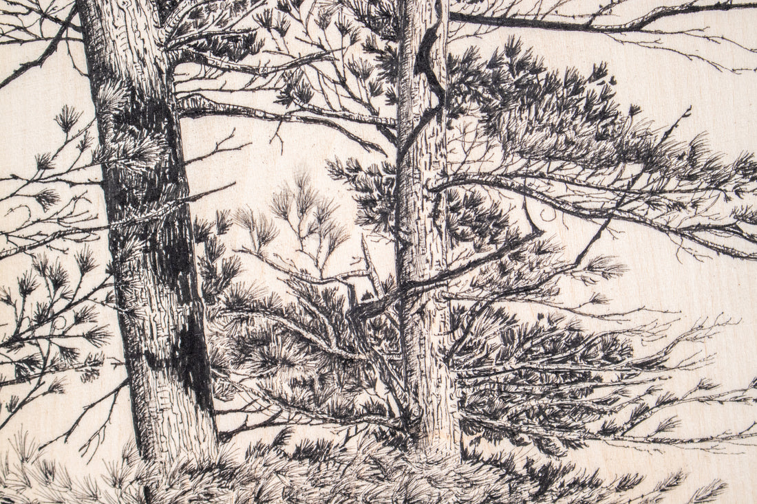 Two White Pines | Drawing on Wood