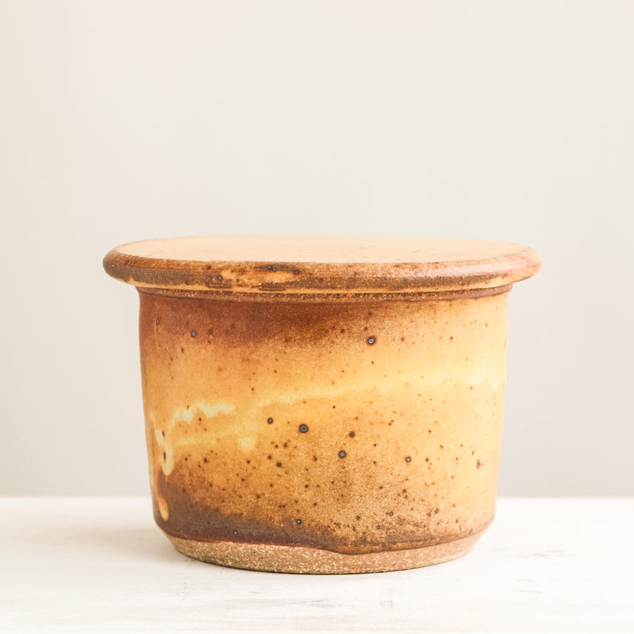 Salt Cellar | Ochre