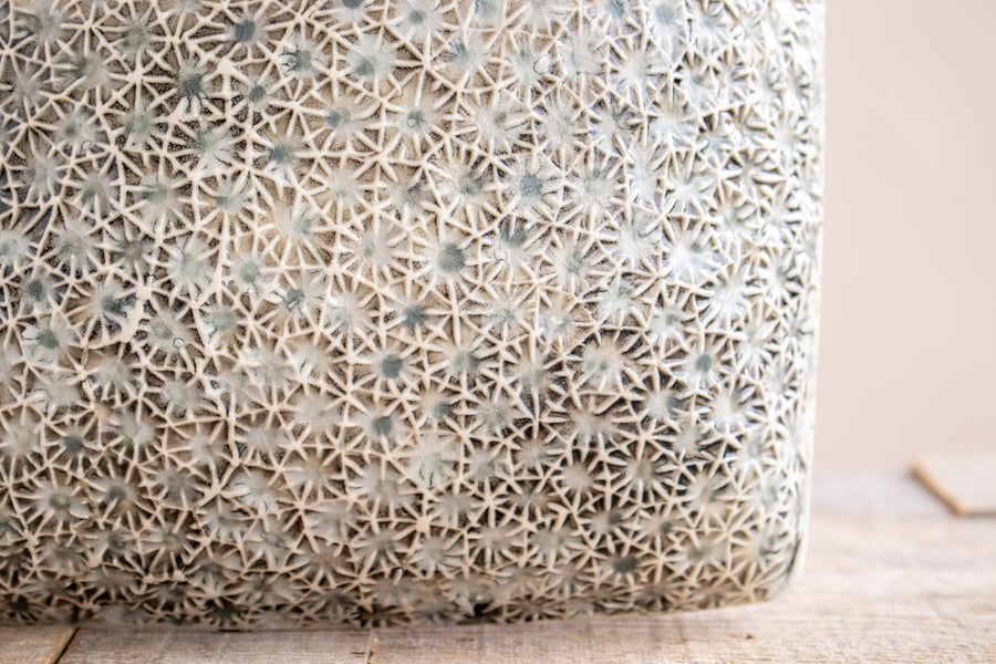 Small Petoskey Stone Element Tile
