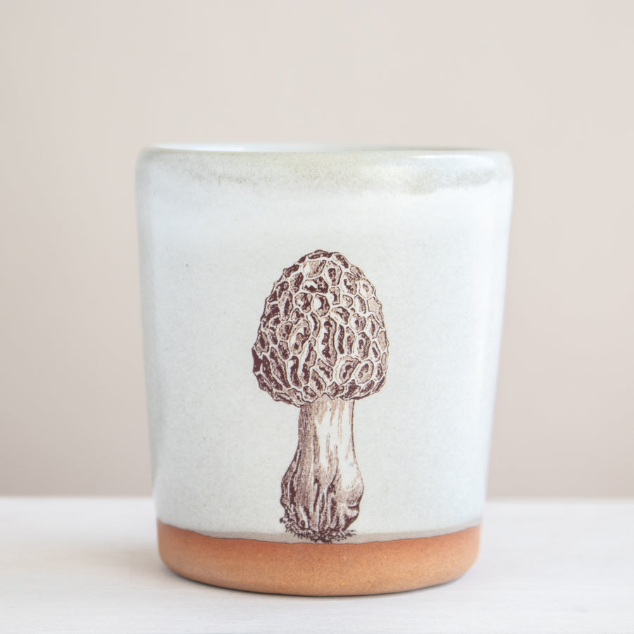 Morel Tumbler | Cream