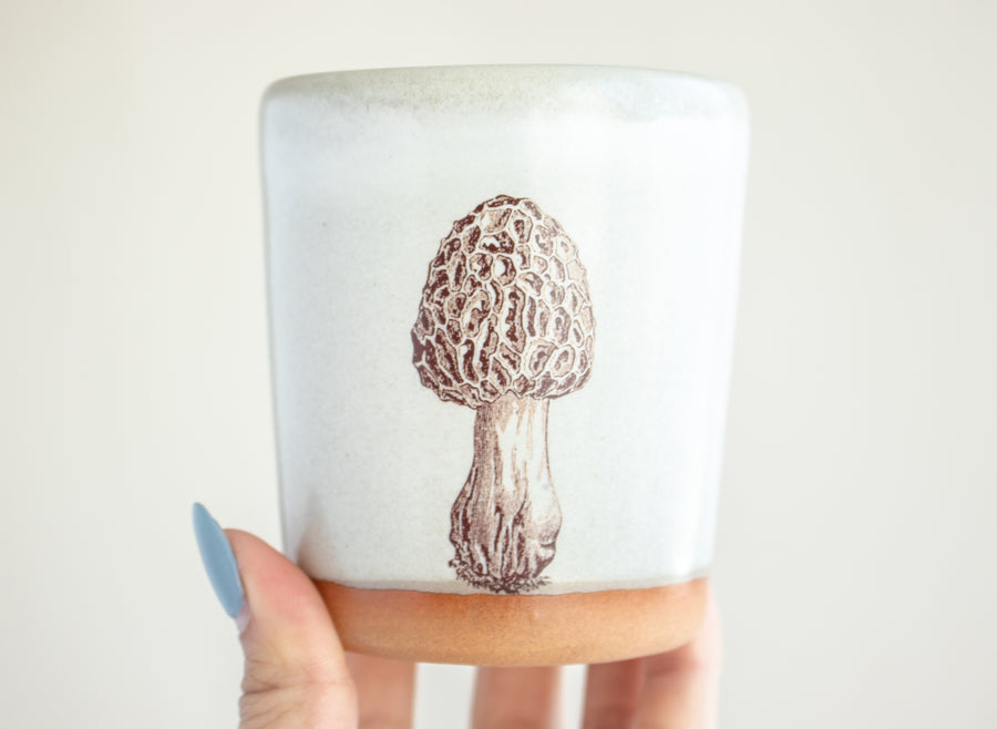 Morel Tumbler | Cream