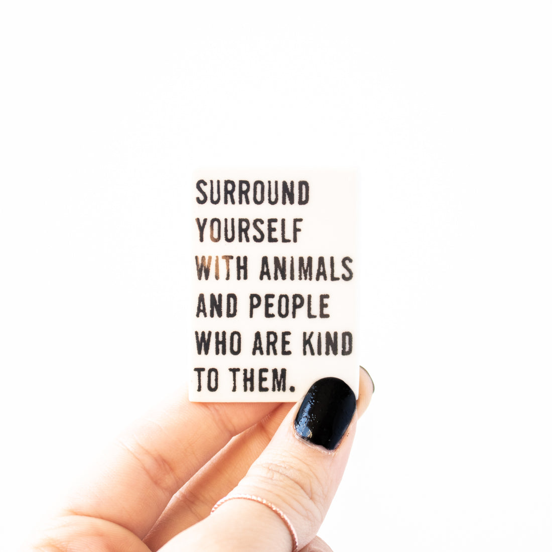 Animals & Kind People Magnet