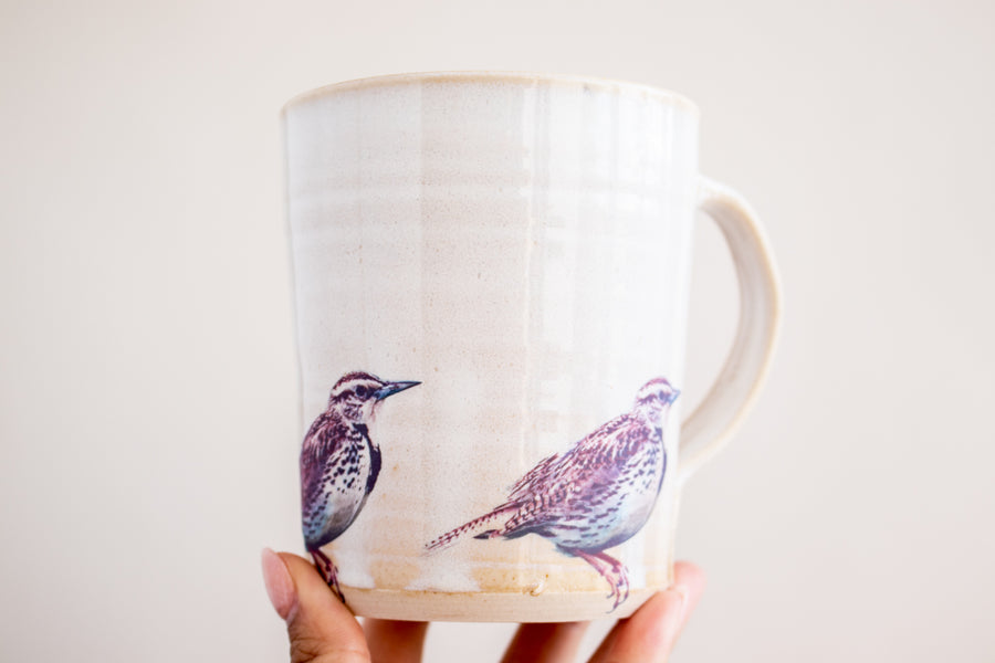 Meadowlarks Mug