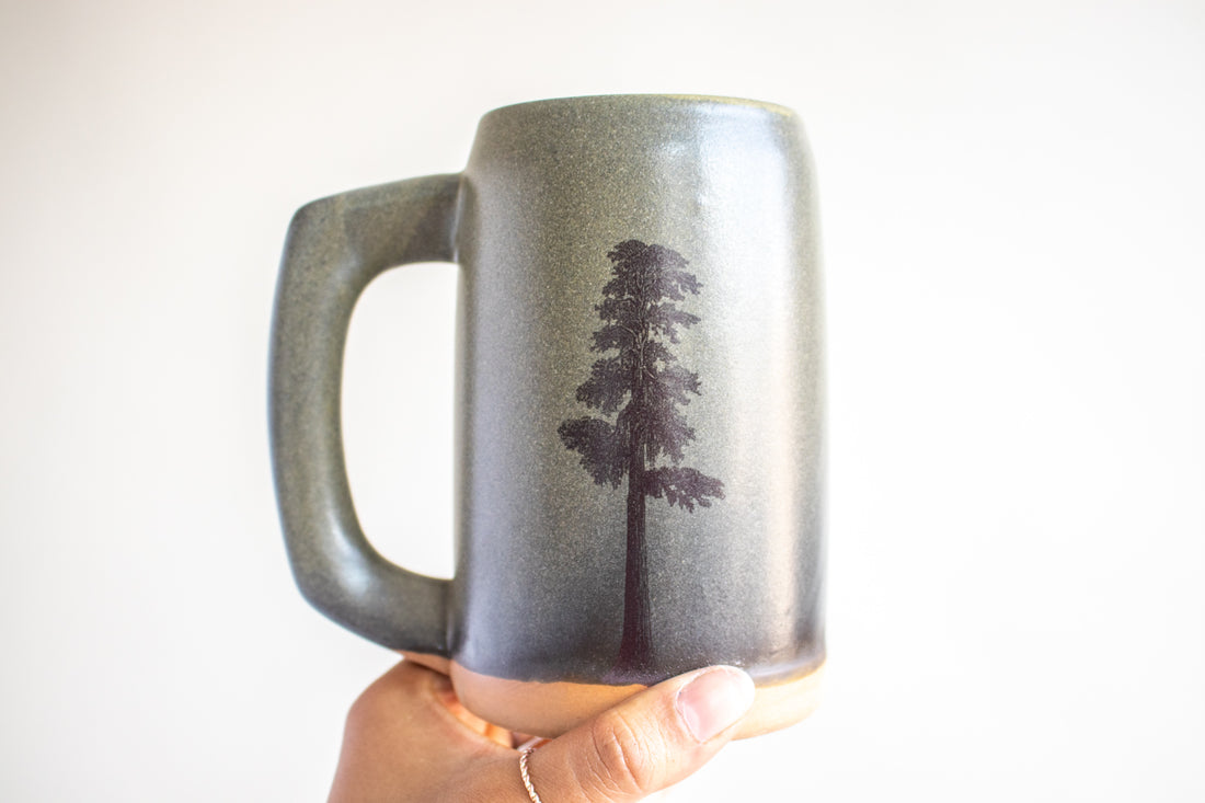 Sequoia Tree Stein | Moss