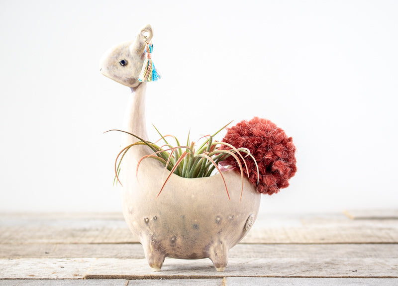 Ceramic Llama Planter (Multiple Colors)