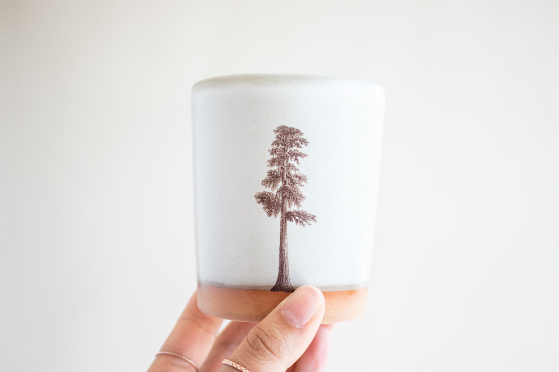 Sequoia Tree Tumbler | Cream