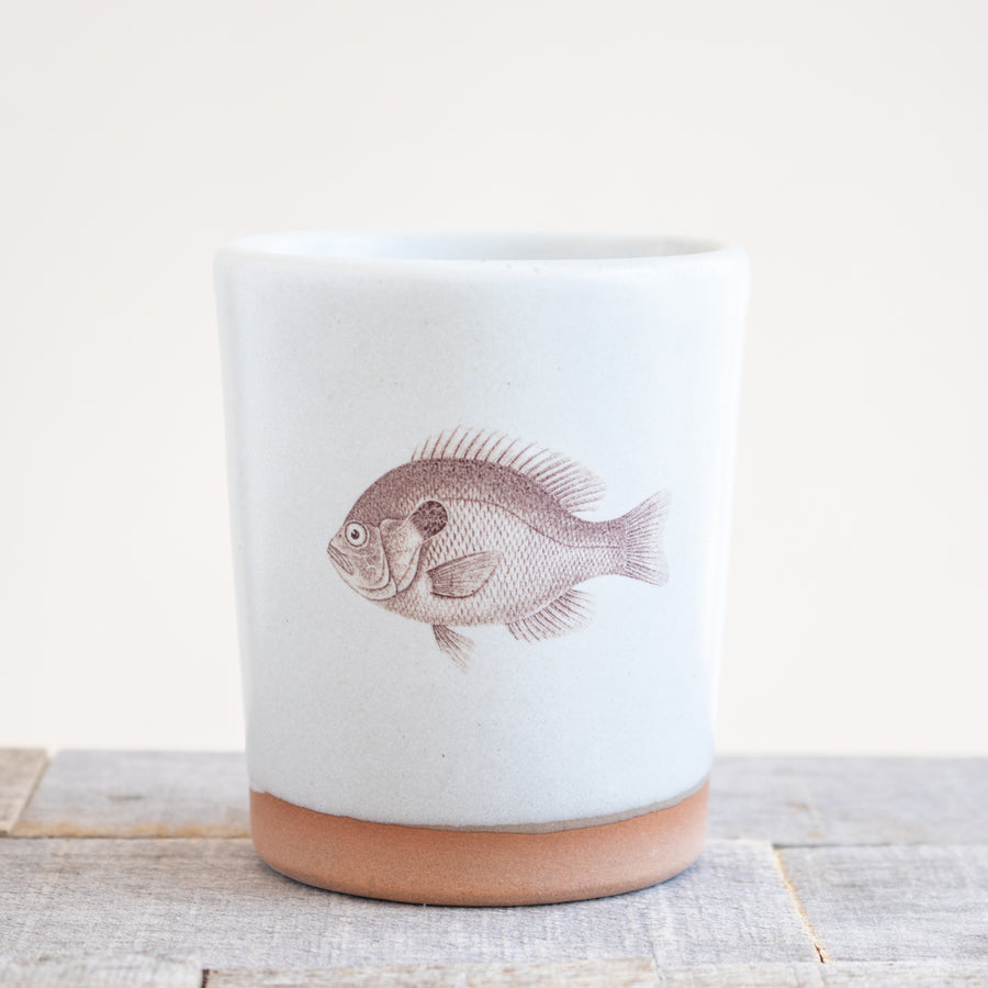 Blue Gill Tumbler | Cream