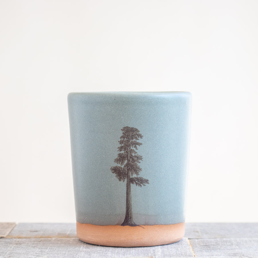 Sequoia Tree Tumbler | Slate