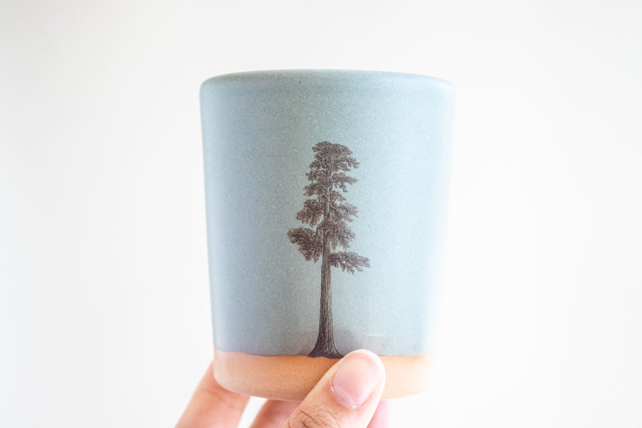 Sequoia Tree Tumbler | Slate