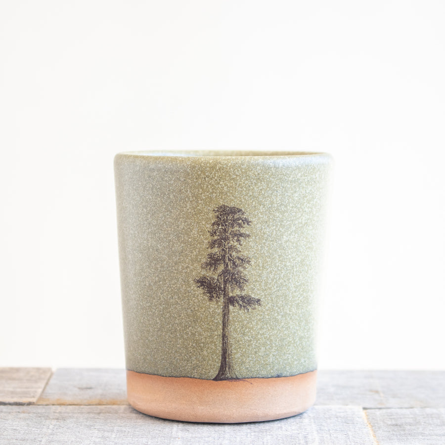 Sequoia Tree Tumbler | Green