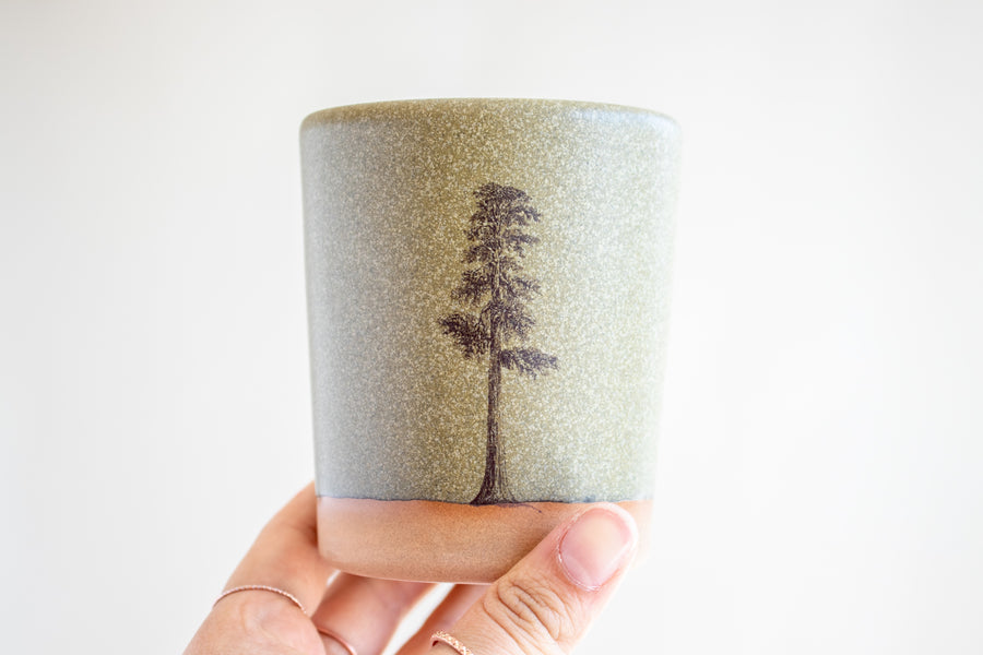 Sequoia Tree Tumbler | Green