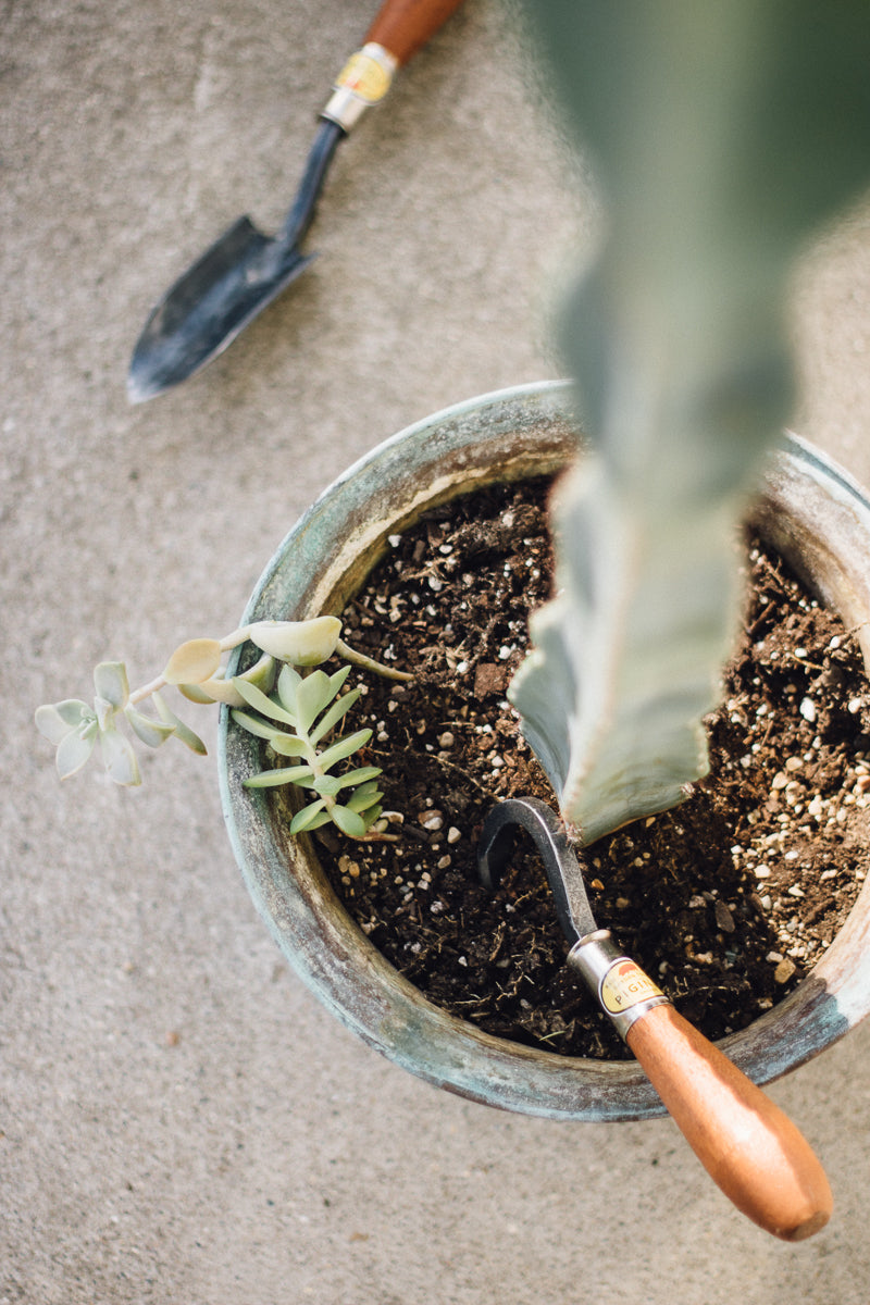 Mini Houseplant Cultivator