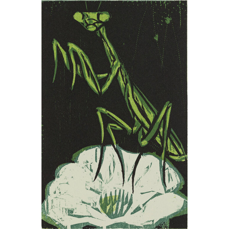 Mantis 11x14 | Woodblock Print