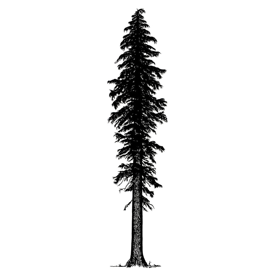 Mountain Hemlock | 16" x 56" | Wood Block Print