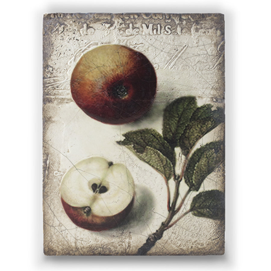 Nature's Gift T387 (Retired) | Sid Dickens Memory Block