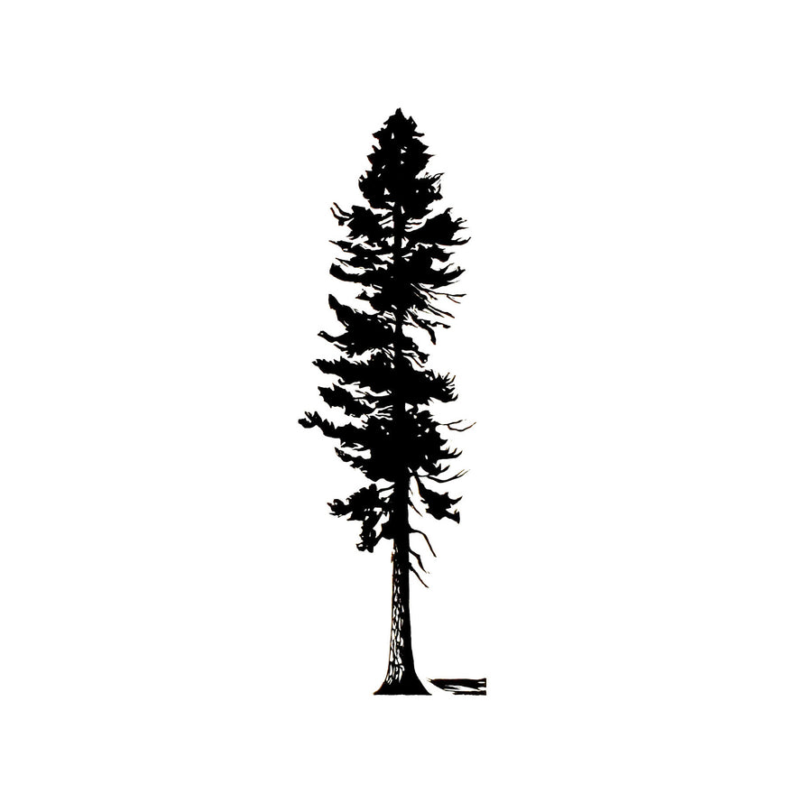 Ponderosa Pine | 6" x 15" | Wood Block Print