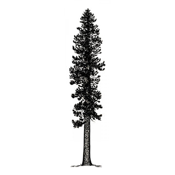 Ponderosa Pine | 15.75" x 56" | Wood Block Print