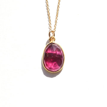 Garnet Gold Necklace | January