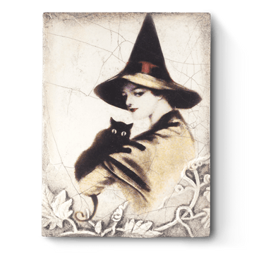 Wise One SP10 (Retired) | Sid Dickens Memory Block
