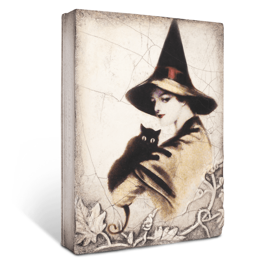 Wise One SP10 (Retired) | Sid Dickens Memory Block