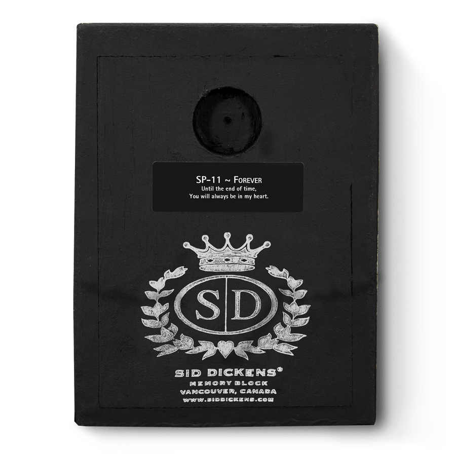 Forever SP11 (Retired) | Sid Dickens Memory Block