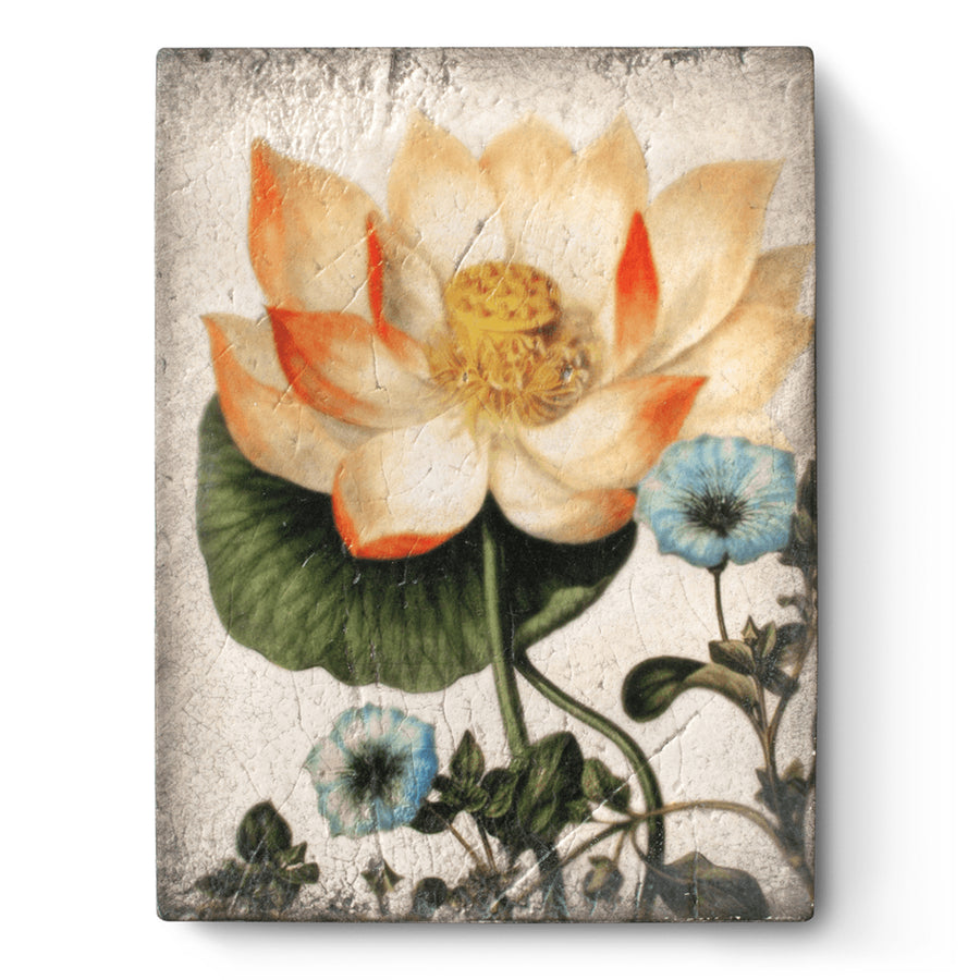 Sacred Lotus T407 (Retired) | Sid Dickens Memory Block