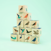 Bird Blocks